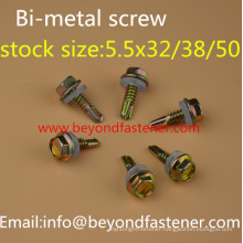 Bulding Screw